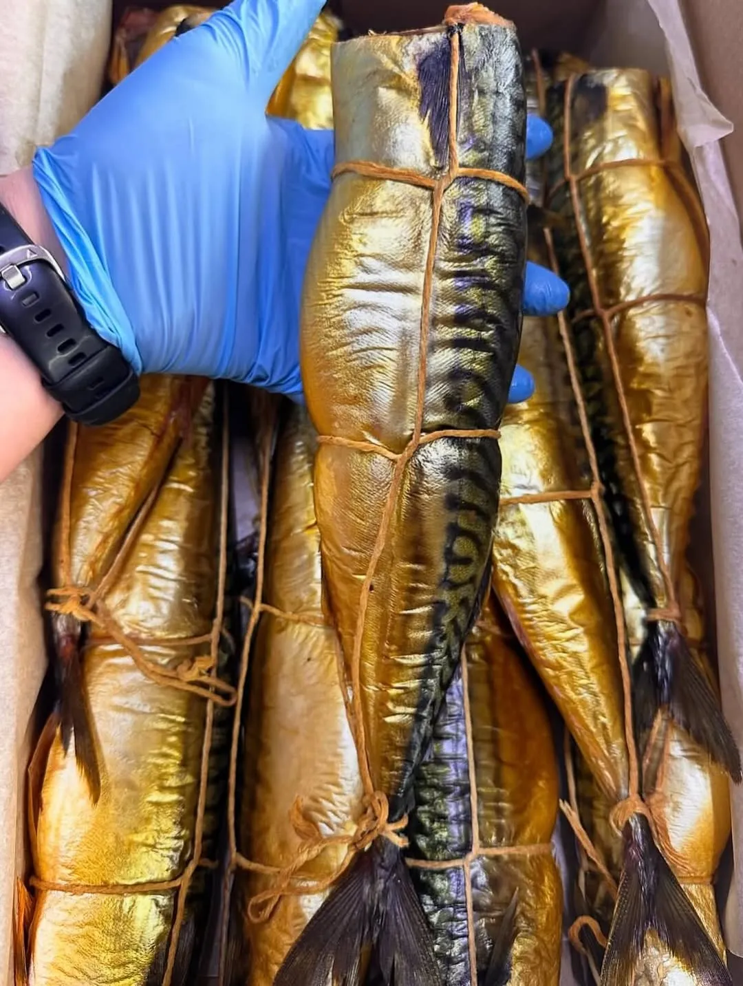 Скумбрия горячего копчения